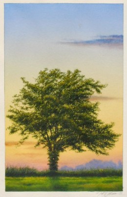 Lone Tree<br /><a href="http://lancasterartcollectors.com/artist-full-name/robert-andriulli/" rel="tag">Robert Andriulli</a>