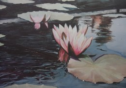 Water Lilies    43/500 S/N Ltd. Ed.<br /><a href="http://lancasterartcollectors.com/artist-full-name/david-brumbach/" rel="tag">David Brumbach</a>