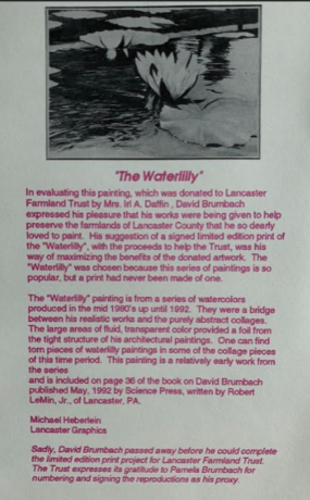 Brumbach Waterlily Description